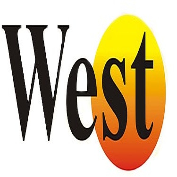 Caldeira A Vapor Vertical